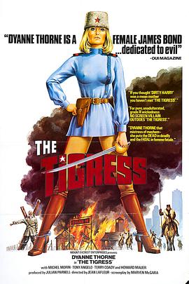 大型网站seo优化策略